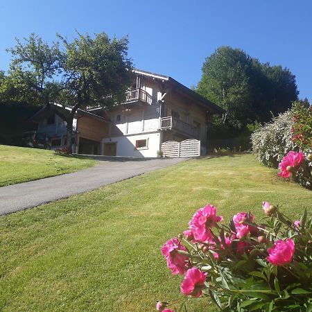 Appartement Borne Saint-Jean-dʼAulps Kültér fotó