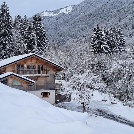 Appartement Borne Saint-Jean-dʼAulps Kültér fotó