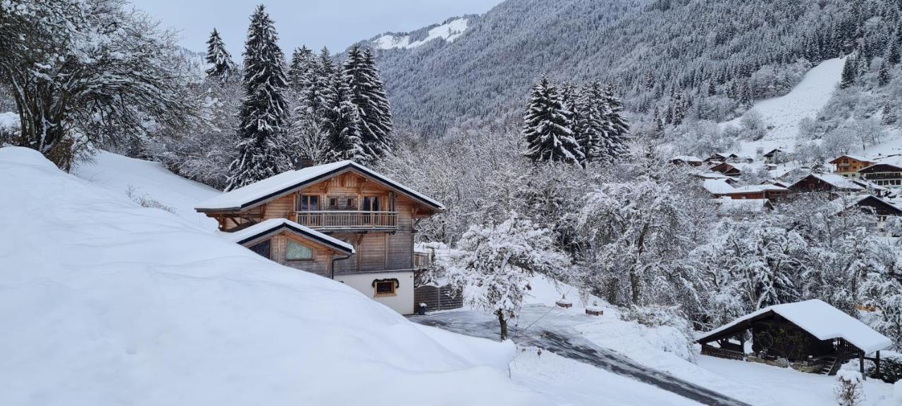 Appartement Borne Saint-Jean-dʼAulps Kültér fotó
