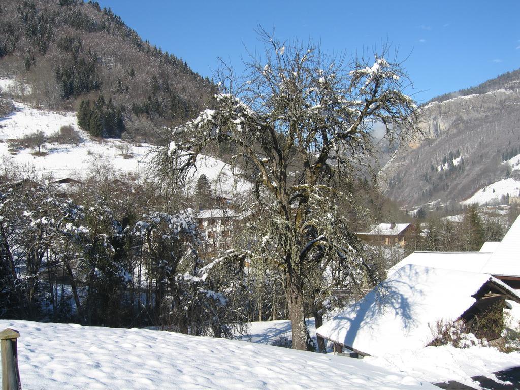 Appartement Borne Saint-Jean-dʼAulps Szoba fotó