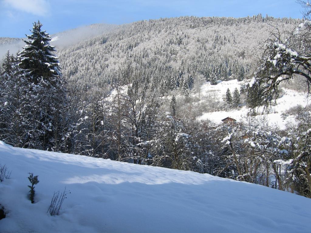 Appartement Borne Saint-Jean-dʼAulps Kültér fotó